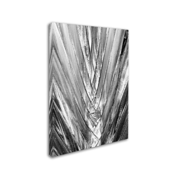 Patty Tuggle 'Black And White Palm 4' Canvas Art,35x47